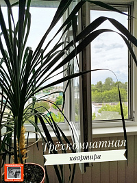 3 к. кв-ра, ул. Севастопольская, д. 109, г. Гомель ID: 100146