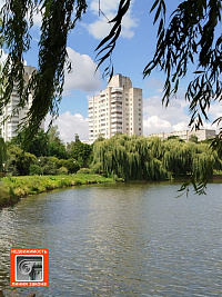 3 к. кв-ра, улица Петруся Бровки, д. 49, г. Гомель ID: 100242