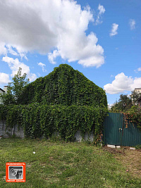 Дом, ул. Быховская, г. Гомель ID: 100277