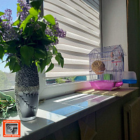 3 к. кв-ра, г. Речица, ул. Молодежная, д. 14 ID: 100121 3 к. кв-ра, г. Речица, ул. Молодежная, д. 14 ID: 100121
