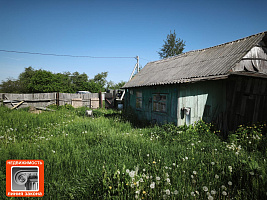 Дом, д. Золотой Рог, ул. Полевая, Ветковский р-н ID: 100134